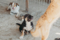 /album/260/whatsapp-image-2026-03-11-at-21-00-42-1-jpeg/